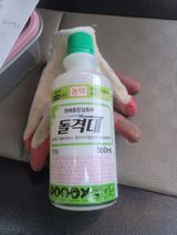 팜모닝 사과·영농일지 게시글 이미지