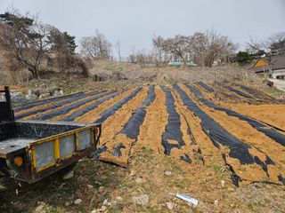 이기연님의 기타작물 · 영농일지 작성글 사진
