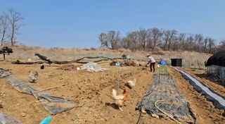 류선영님의 콩 · 영농일지 작성글 사진