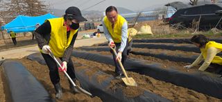 조영숙님의 기타작물 · 영농일지 작성글 사진