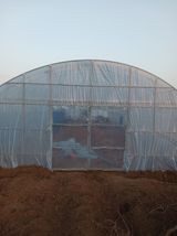 팜모닝 기타작물·영농일지 게시글 이미지