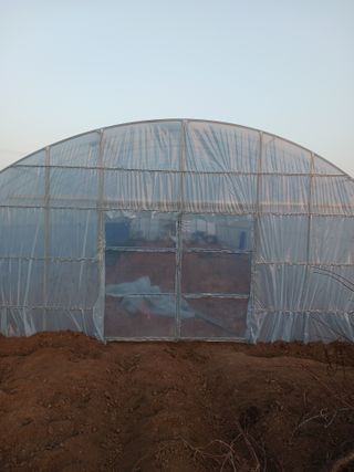 천성을향하여님의 기타작물 · 영농일지 작성글 사진