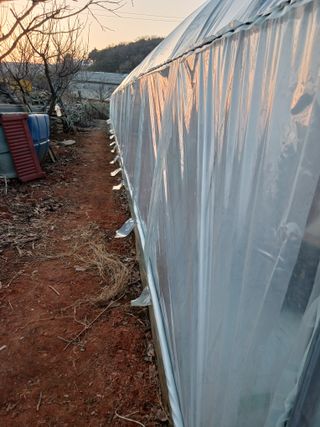 천성을향하여님의 기타작물 · 영농일지 작성글 사진