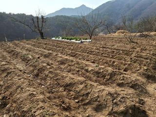 형남영님의 기타작물 · 영농일지 작성글 사진