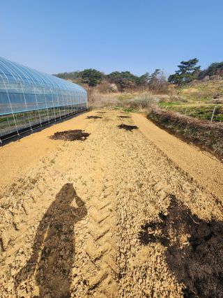 김영준님의 복숭아 · 영농일지 작성글 사진