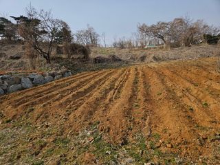 이기연님의 기타작물 · 영농일지 작성글 사진