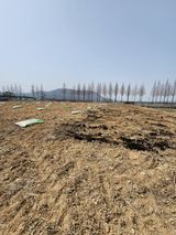 팜모닝 복숭아·영농일지 게시글 이미지