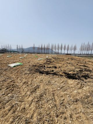 김영준님의 복숭아 · 영농일지 작성글 사진