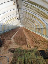 팜모닝 기타작물·영농일지 게시글 이미지