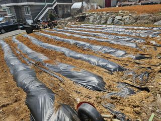 이기연님의 기타작물 · 영농일지 작성글 사진