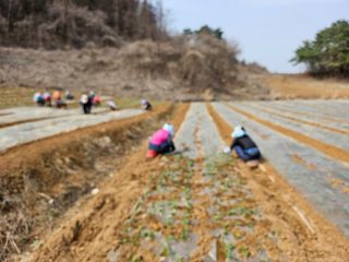 함영동님의 기타작물 · 영농일지 작성글 사진
