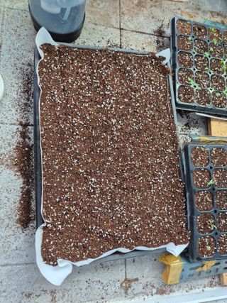 이종주님의 파 · 영농일지 작성글 사진