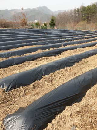 샤이니바다님의 기타작물 · 영농일지 작성글 사진
