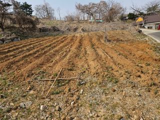 이기연님의 기타작물 · 영농일지 작성글 사진