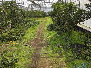 조상균님의 기타작물 · 영농일지 작성글 사진