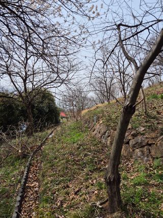 팜모닝회원류한배님의 기타작물 · 영농일지 작성글 사진