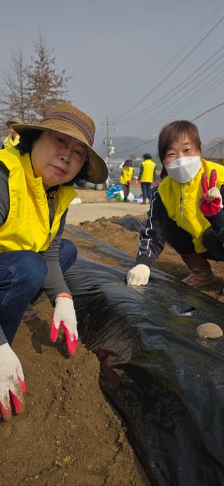 조영숙님의 기타작물 · 영농일지 작성글 사진