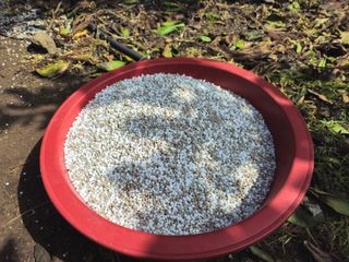 새달귤농장님의 귤 · 영농일지 작성글 사진