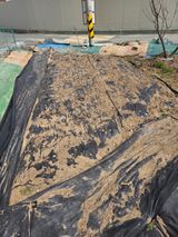 팜모닝 기타작물·영농일지 게시글 이미지