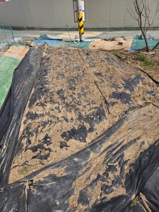 정찬길 님의 기타작물 · 영농일지 작성글 사진