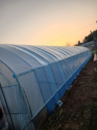 천성을향하여님의 기타작물 · 영농일지 작성글 사진