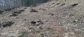 김윤철님의 기타작물 · 영농일지 작성글 사진