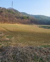 팜모닝 기타작물·영농일지 게시글 이미지