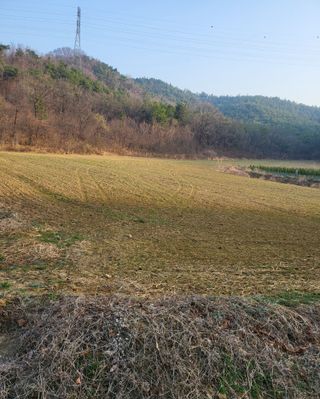 이영식님의 기타작물 · 영농일지 작성글 사진