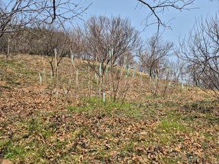 팜모닝회원류한배님의 기타작물 · 영농일지 작성글 사진