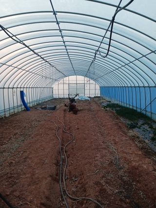 천성을향하여님의 기타작물 · 영농일지 작성글 사진