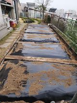 팜모닝 기타작물·영농일지 게시글 이미지