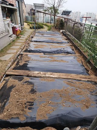 허인녕님의 기타작물 · 영농일지 작성글 사진