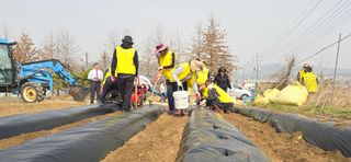 조영숙님의 기타작물 · 영농일지 작성글 사진