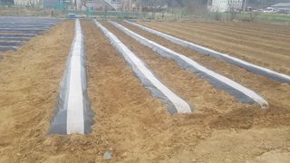 최춘득 청대산 님의 기타작물 · 영농일지 작성글 사진