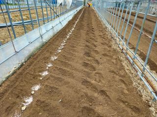 내땅님의 기타작물 · 영농일지 작성글 사진