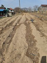 팜모닝 기타작물·영농일지 게시글 이미지