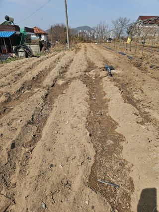 소양강님의 기타작물 · 영농일지 작성글 사진