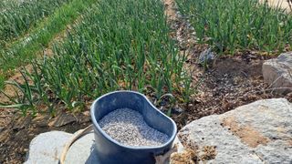 월굴리이승재님의 기타작물 · 영농일지 작성글 사진