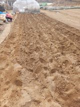 팜모닝 기타작물·영농일지 게시글 이미지