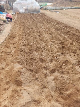 인산님의 기타작물 · 영농일지 작성글 사진