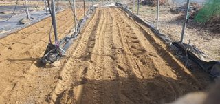 박상중님의 기타작물 · 영농일지 작성글 사진