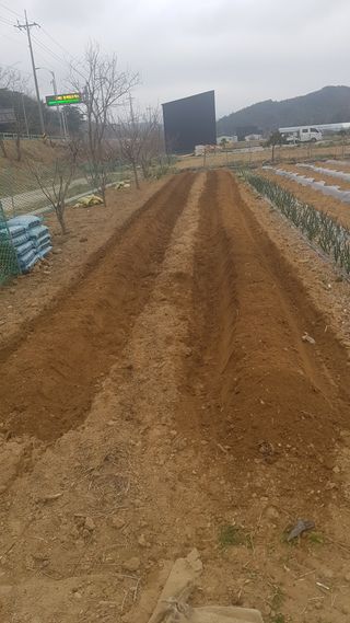 최춘득 청대산 님의 기타작물 · 영농일지 작성글 사진