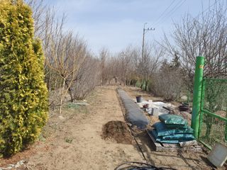 송완춘님의 상추 · 영농일지 작성글 사진