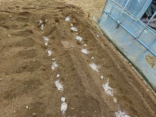 내땅님의 기타작물 · 영농일지 작성글 사진