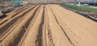 박상중님의 기타작물 · 영농일지 작성글 사진