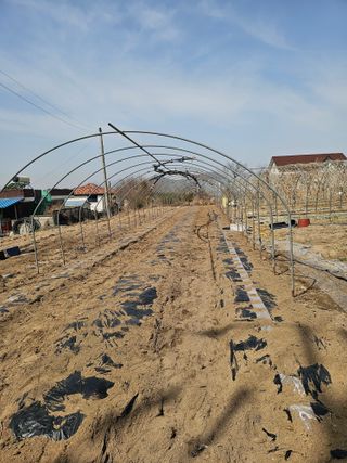 소양강님의 기타작물 · 영농일지 작성글 사진