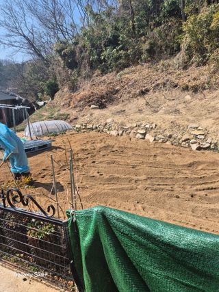 짱순이연속8월출석왕님의 상추 · 영농일지 작성글 사진