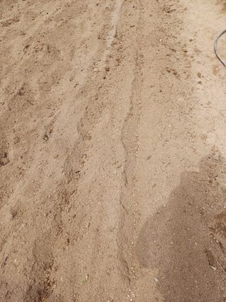 인산님의 기타작물 · 영농일지 작성글 사진