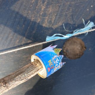 김성구님의 콩 · 영농일지 작성글 사진