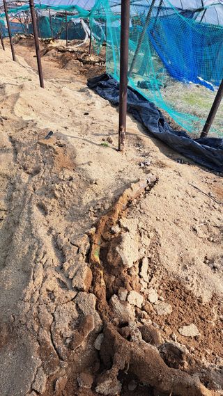 조연만님의 기타작물 · 영농일지 작성글 사진